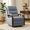 Blue, variant on FlexiSpot Dual Motor Recliner Chair, Adjustable Recliner with Lumbar Support and Padded Seat Backrest for Living Room, Dark Gray