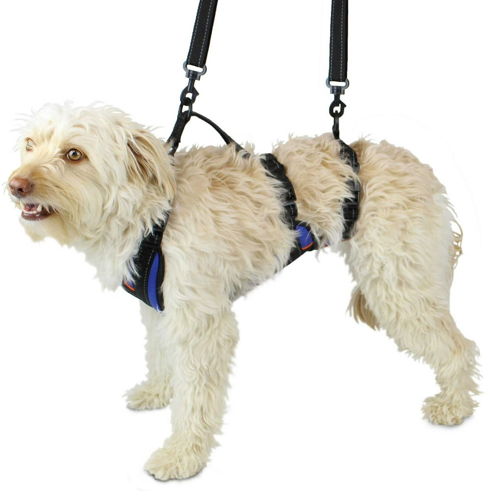 LiftnStep Dog Harness for Full Body Support Helps Dogs with Arthritis, Senior Dogs and Pets