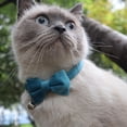 thumbnail image 1 of Flmtop Pet Collar Beautiful Adjustable Bowknot Shape Decorative Pet Accessories for Cat Dog Red, 1 of 9