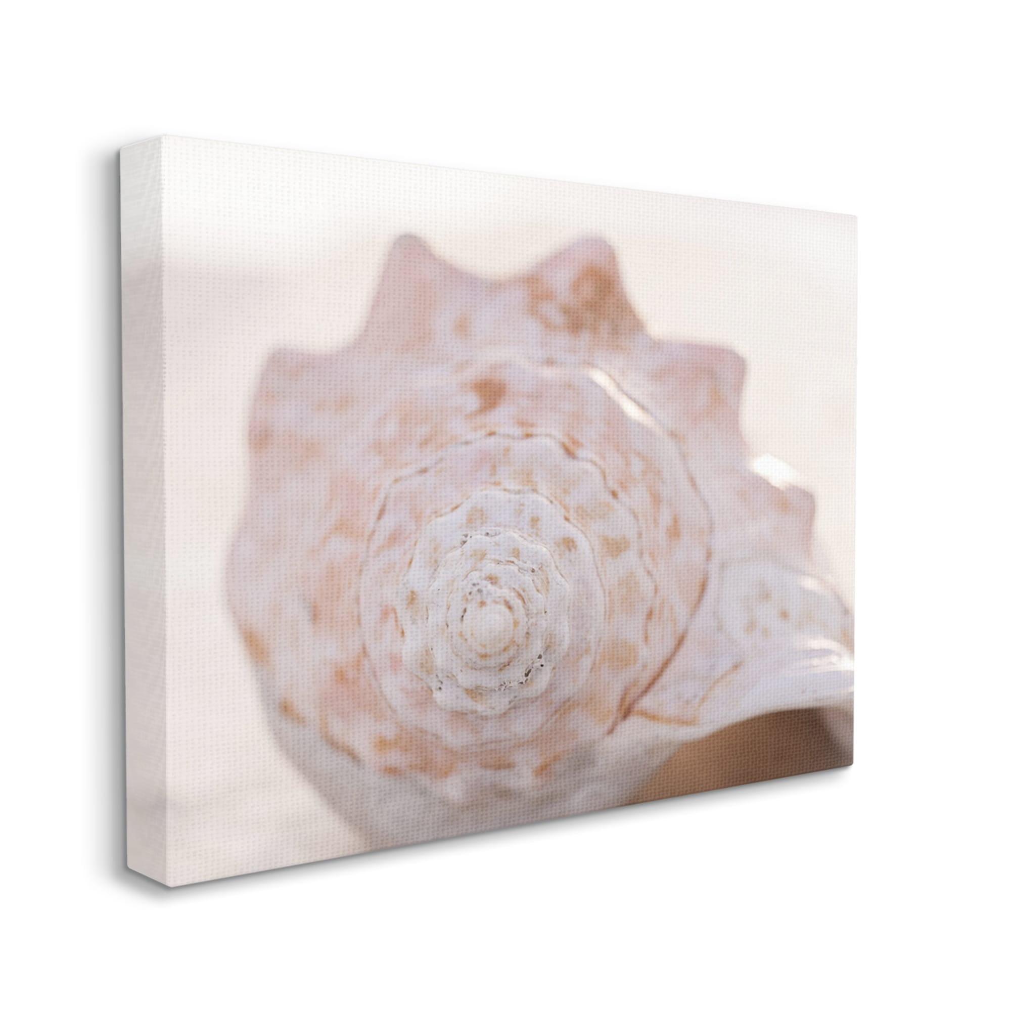 Stupell Beach Life Conch Shell Photography Landscape Photography Gallery Wrapped Canvas Print Wall Art
