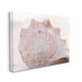 thumbnail image 3 of Stupell Beach Life Conch Shell Photography Landscape Photography Gallery Wrapped Canvas Print Wall Art, 3 of 5