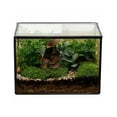 thumbnail image 1 of Outdor Glass Terrarium With Lid Rectangle Black For Indoor Geometric Clear Containers For And Succulent Tabletop DIY, 1 of 6
