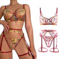 thumbnail image 2 of Qarigey Conjunto de sujetador, lencería Sexy, ligas, medias lavables de encaje sin costuras, ropa interior de mujer, tira corta, accesorio para citas Ropa interior Rojo s Qarigey AP018397-04, 2 of 6