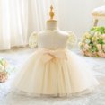 thumbnail image 2 of IBTOM CASTLE Baby Girl Christening Lace Tulle Dress, Newborn Floral Flower Kids Skirt, Toddler Birthday Wedding Party Princess Gown Champagne, 2 of 7