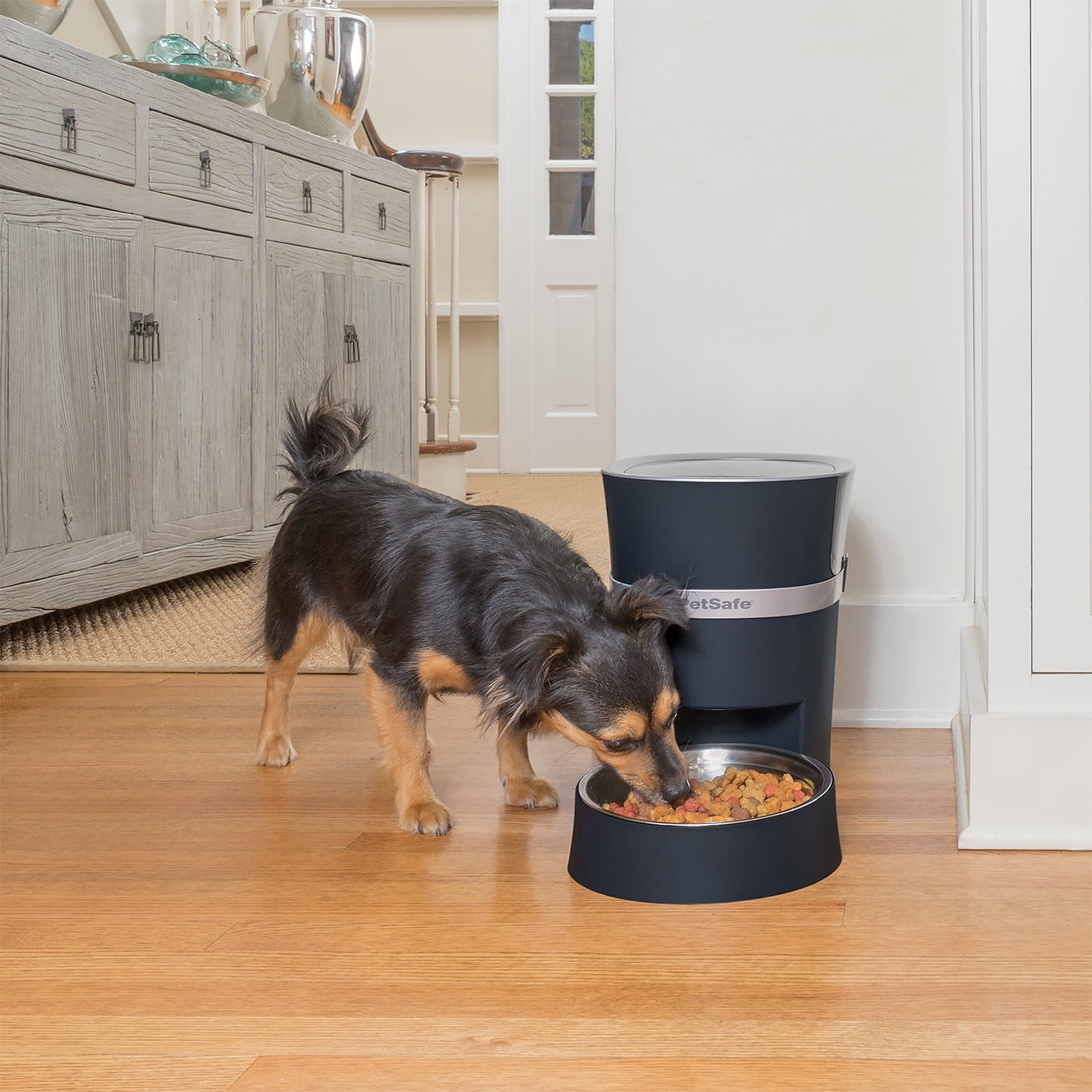 Smart feed automatic pet feeder for iphone and android sale