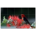 thumbnail image 1 of Picture-Tiles.com: Bird Ceramic Tile Wall Mural WAL500193-53S. 21.25"W x 12.75"H using (15) 4.25" x 4.25" Ceramic Tiles-Satin Finish, 1 of 3