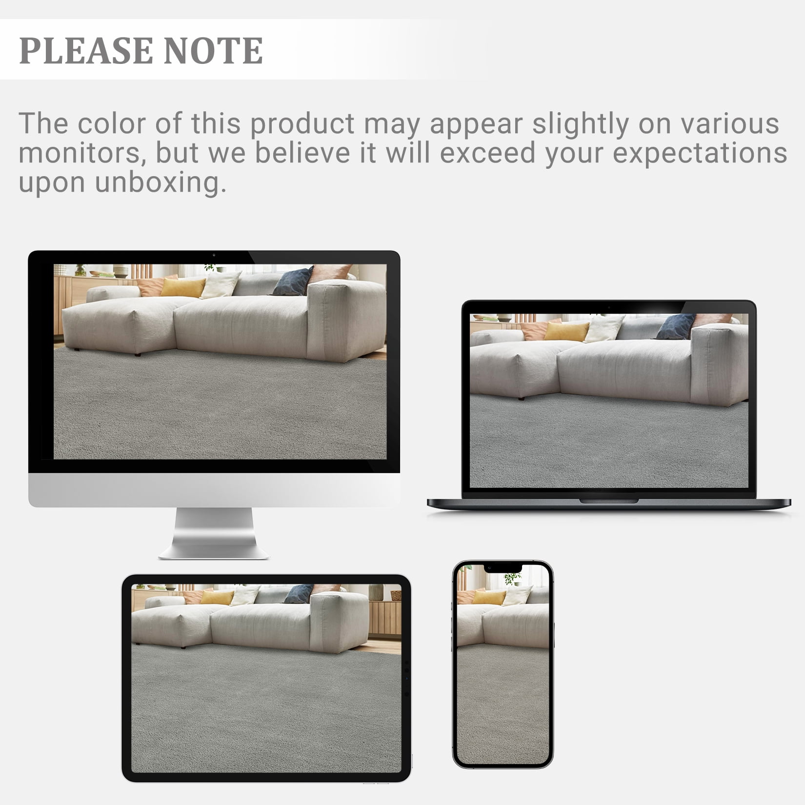 Hasoo Washable Area Rug Modern Minimalist Gray Rug with Non Slip Backing Soft Fluffy Living Room Carpet