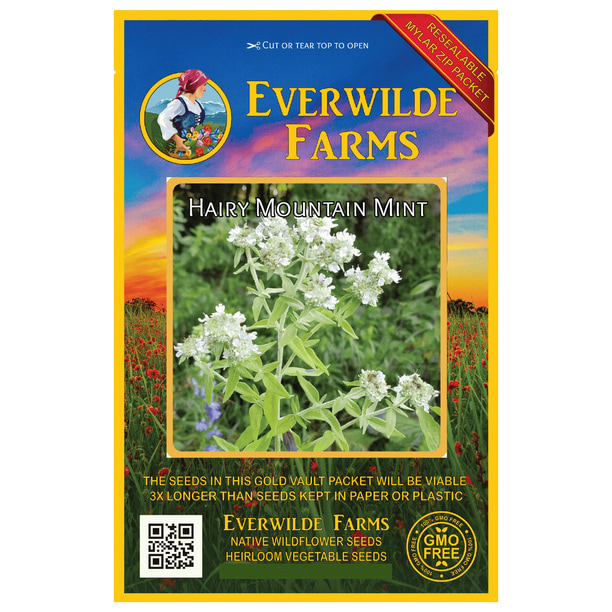 Everwilde Farms 2000 Hairy Mountain Mint Native Wildflower Seeds