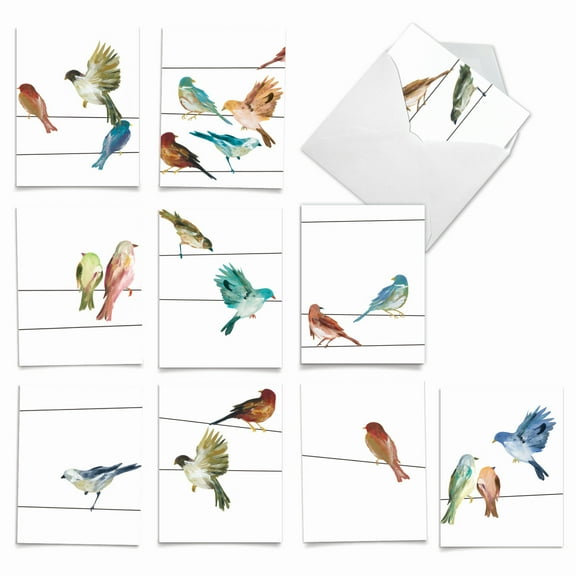 10 All Occasion Blank Note Cards Assorted (4 x 5.12 Inch) - HIGH WIRE BIRDS M3318