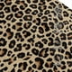 thumbnail image 3 of Balery Leopard Print-1 Gorra de béisbol de tamaño ajustable para correr, entrenar y actividades al aire libre. Gorra de papá para todas las estaciones., 3 of 6