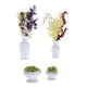 thumbnail image 1 of Juego de plantas en macetas de simulación BuyWeek 4 mini macetas, 1 of 14