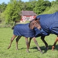 thumbnail image 2 of STORM SHIELD Euro Fit Bellyband Foal Horse Blankets | Color Navy | Size 30 - 36, 2 of 6