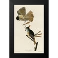 thumbnail image 2 of Vintage Apple Collection 16x24 Black Modern Framed Museum Art Print Titled - Great Crested Flycatcher, 2 of 5