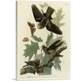 thumbnail image 1 of ARTCANVAS Whip-Poor-Will Canvas Art Print by John James Audubon - Size: 18" x 12" (0.75" Deep), 1 of 9