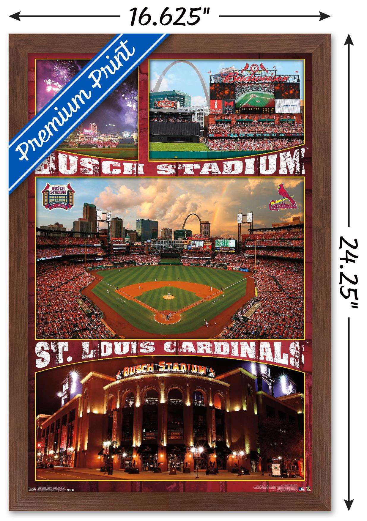 MLB Rivalries - St. Louis Cardinals vs Chicago Cubs Wall Poster, 14.725 x  22.375 Framed - Yahoo Shopping