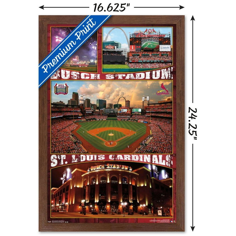 MLB St. Louis Cardinals - Busch Stadium 16 Wall Poster, 14.725 x 22.375,  Framed