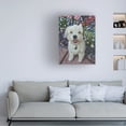 thumbnail image 3 of Steve Crockett 'Pet Portrait Of Little Ozz The Pomeranian Poodle Cross' Canvas Art, 3 of 4