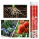 thumbnail image 1 of ¡Compra ya y Ahorra!, Fertilizante universal de liberación lenta para jardinería doméstica Fertilizante de liberación lenta para jardinería doméstica Nitrógeno, fósforo y potasio de uso general, 1 of 9