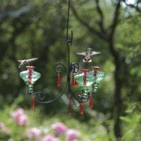 Par-A-Sol - CH3CL-B - Chandelier 3 - Clear