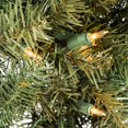 thumbnail image 3 of Vickerman A164331LED LED Colorado Spruce Wreath with Warm White Lights - 30 in., 3 of 3