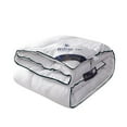thumbnail image 2 of Hotel Duvet | White Down Warm Quilt | Thickened Winter & Spring/Fall Comforter | 200x150cm Size | Lightweight & Breathable | 1 Piece, 2 of 6