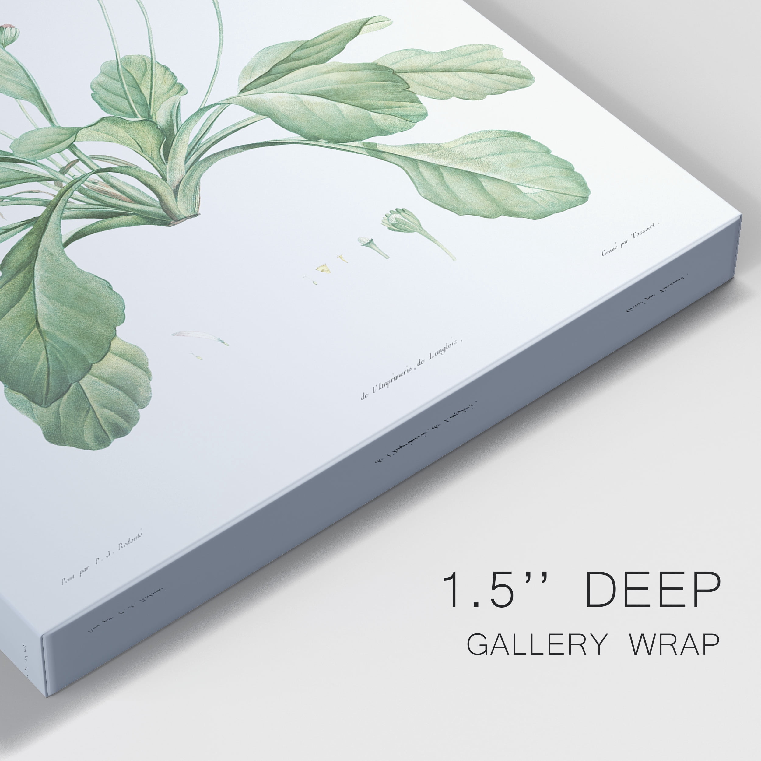 Daisy Premium Gallery Wrapped Canvas - Ready to Hang - 8 x 12