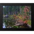 thumbnail image 2 of Fitzharris, Tim 18x15 Black Modern Framed Museum Art Print Titled - Nymph Lake-Rocky Mountain National Park-Colorado, 2 of 5
