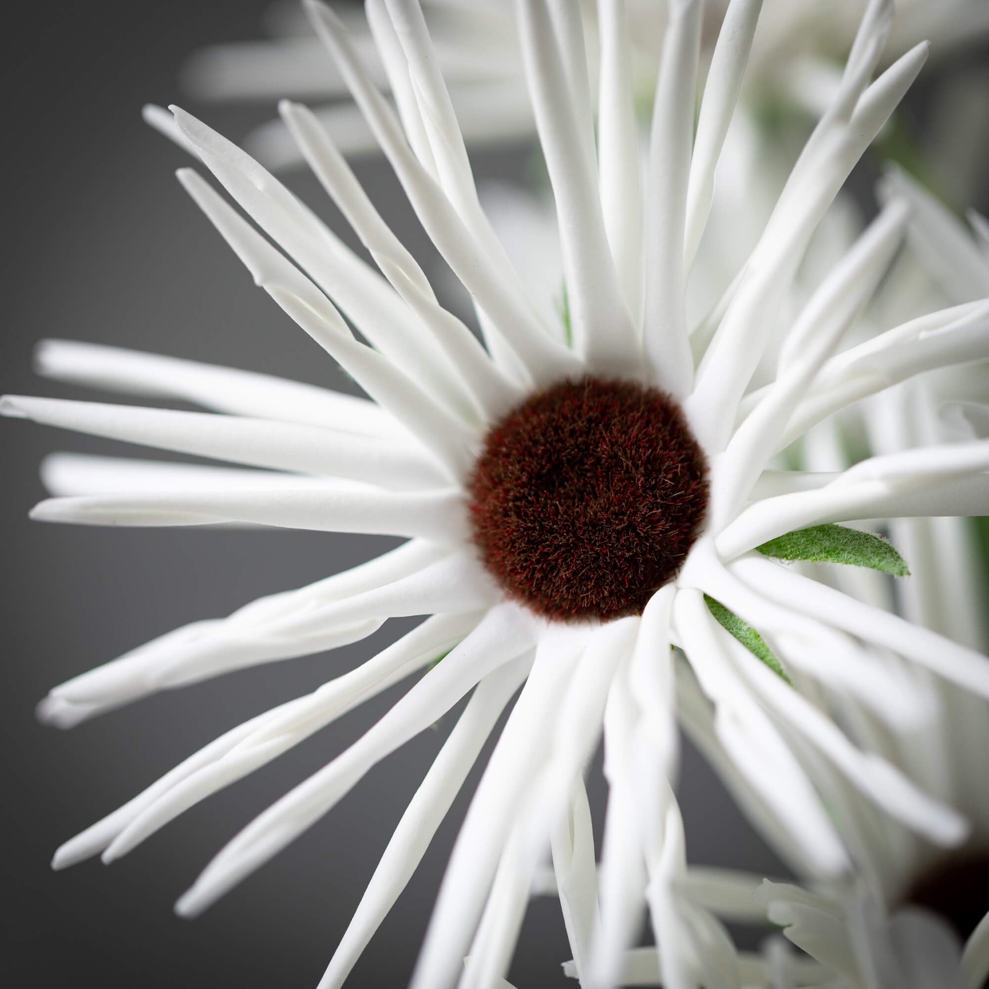 Sullivans 38" Artificial White Daisy Stem