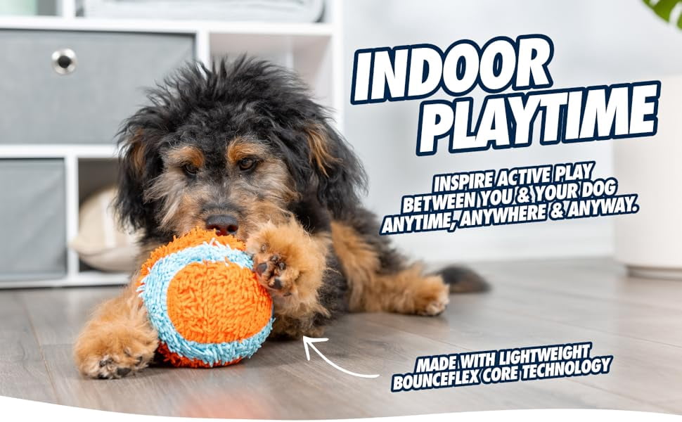 Chuckit! Indoor Ball Fetch Plush Ball Dog Toy