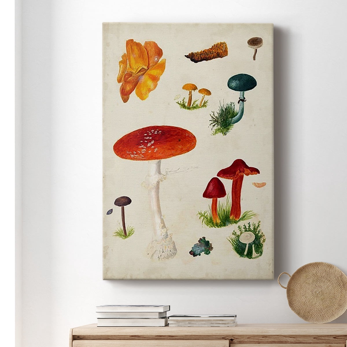 Mushroom Species VIII Premium Gallery Wrapped Canvas - Ready to Hang