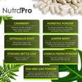 thumbnail image 4 of Kidney Cleanse Detox & Repair and Bladder Support- Kidney Support Supplement for Kidney Restore With Chanca Piedra,Cranberry, Juniper Berries for Kidney Detox and Bladder Health.60 Day Supply, 4 of 5