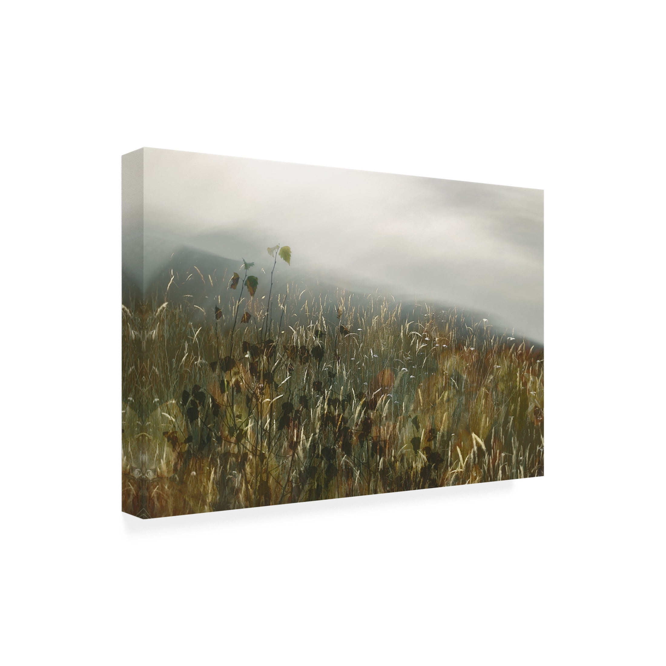 Trademark Fine Art Nel Talen In the field Canvas Wall Art