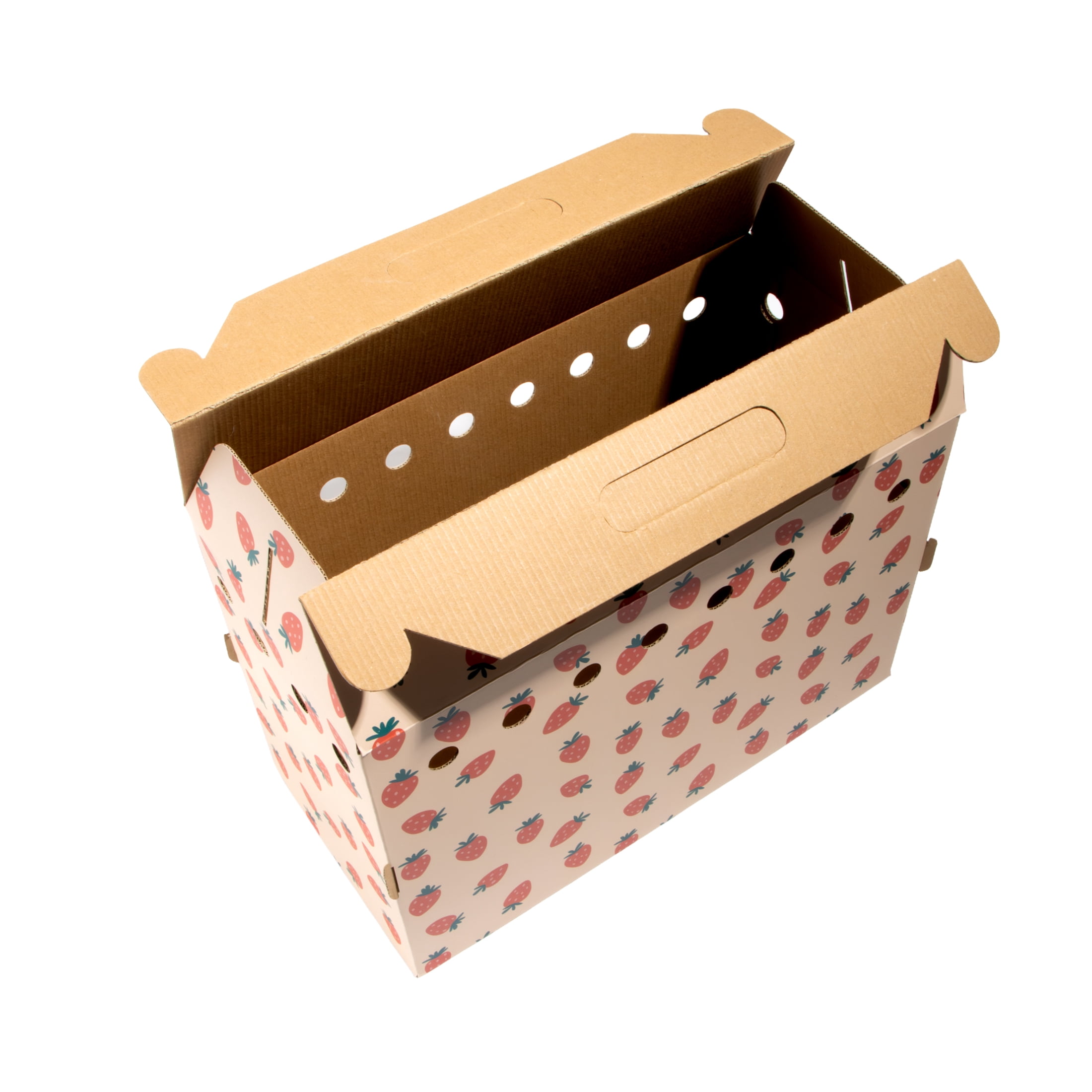 Oodles Ventilated Cardboard Small Animal Carrier with Handle, Pink Fresh Strawberry Print, 3-pack