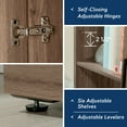 thumbnail image 5 of Sauder Homeplus Engineered Wood Storage Cabinet in Salt Oak Finish, 5 of 9