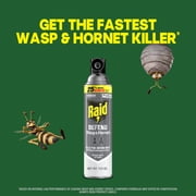 Raid Defend Outdoor Defense System Wasp and Hornet Bug Spray Outdoor Insect Killer, 17.5 oz.