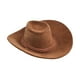thumbnail image 1 of Sombrero de vaquero a escala 1/6, sombrero de muñeca en miniatura, accesorios para muñecas, Mini sombrero de vaquero flocado, sombrero decorativo para Marrón, 1 of 8