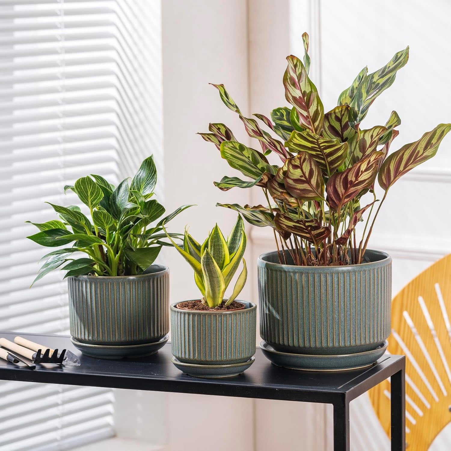 Set of 3 Speckle Gray Ceramic Plant Pots, 4.3+5.5+6.7 Inch with Drainage Hole, Saucer & Hole Pads, Striped Decorative Planter for Indoor Plants and Gardening