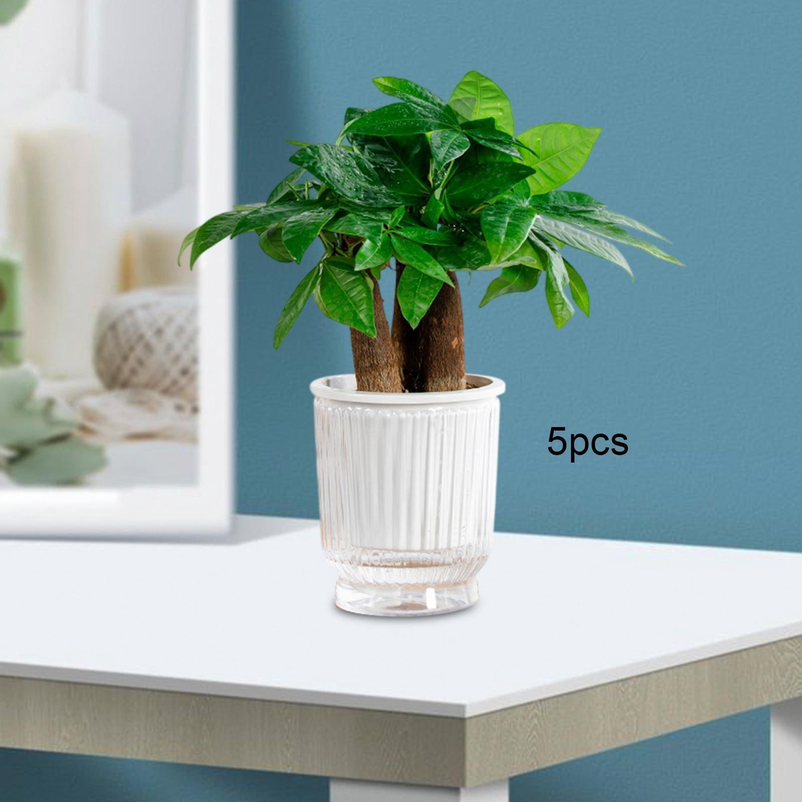 koolsoo 5 Pieces Self Watering Plant Pots Flower Pots Modern Home Decor Gardening Planters Indoor Outdoor Plants for Restaurant Patio Transparent 10.8x12cm
