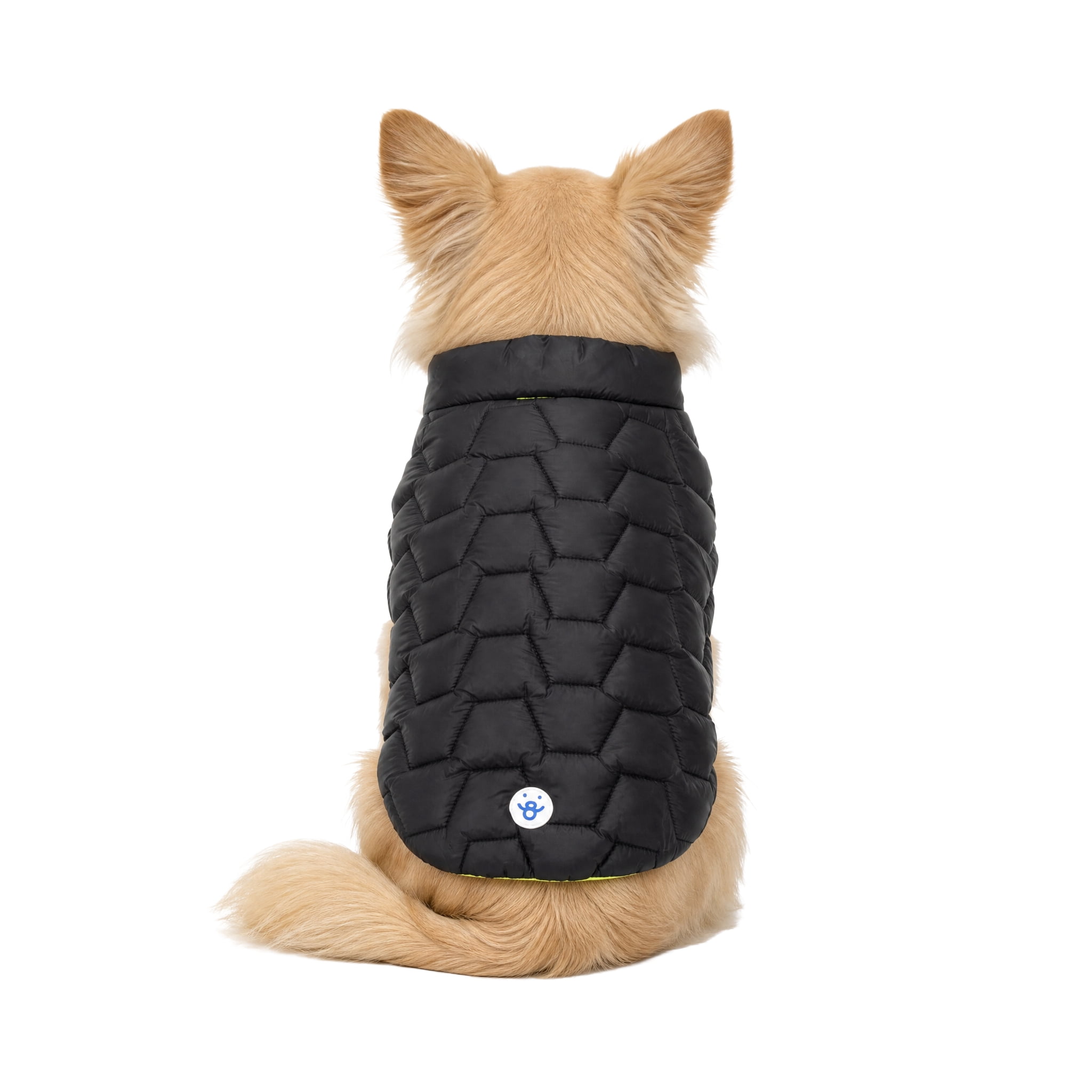 Oodles Quilted Fall Puffer Dog Jacket, Black, XS
