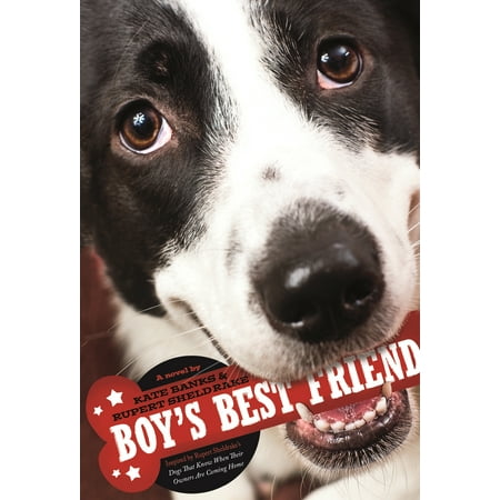 Boy's Best Friend