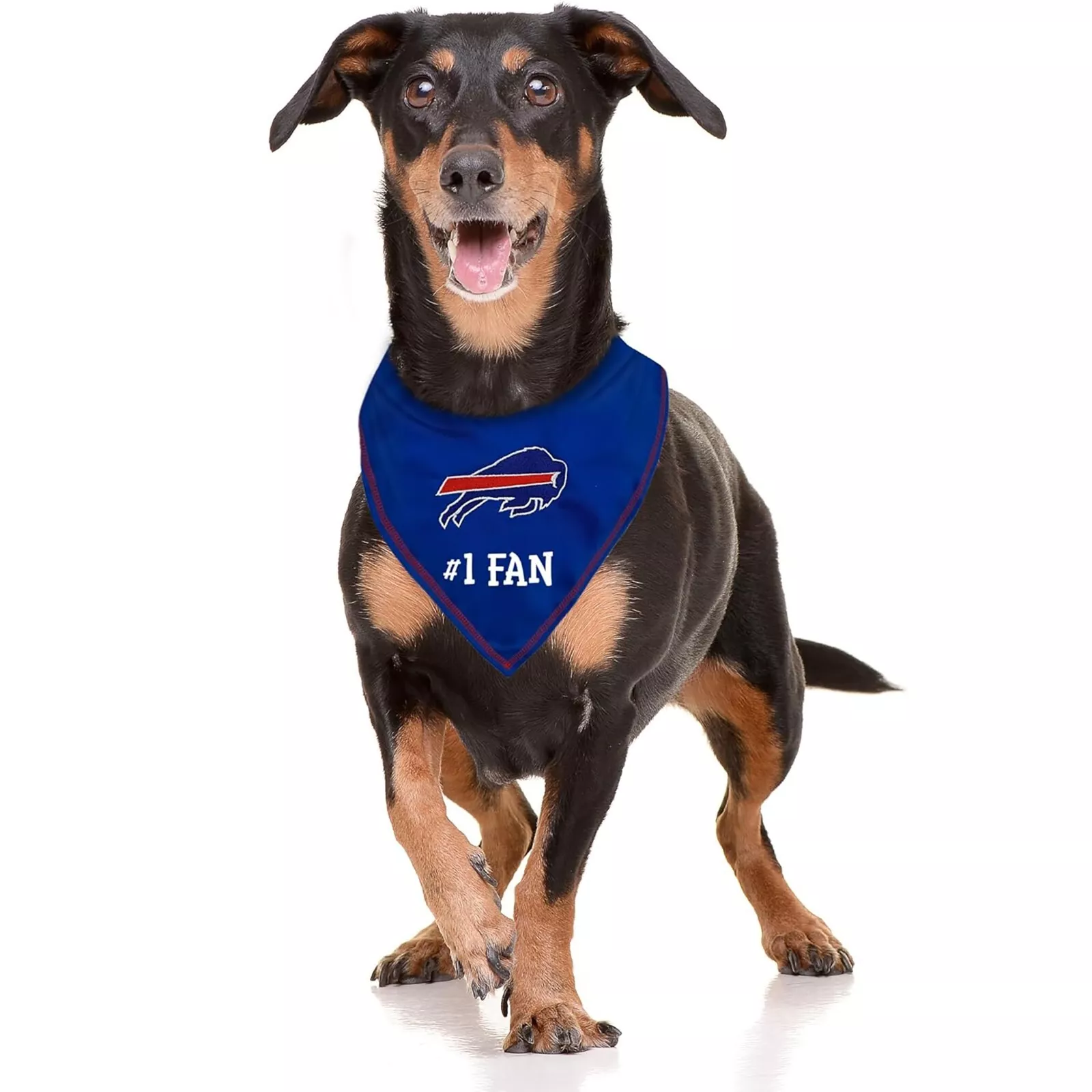 Pets First NFL Personalized Tie Bandana for Dogs & Cats Customizable Dog Bandana