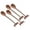 Honggu, variant on Set of 4 Decorative Water drop Coffee Teas Spoons with Long Dragonflies Handle