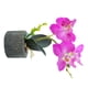 thumbnail image 3 of Orquídea artificial Flor y maceta Simulación Flor en maceta Mesa de oficina en casa Decoración floral falsa, JH1736, Púrpura Methold HA7712-04B, 3 of 6