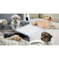 thumbnail image 3 of Honey Care A05 ,Dog and Puppy Training Pads, Ultra Absorbent, Small, Blue, 17.5" x 23.5", 120 Count, 3 of 7