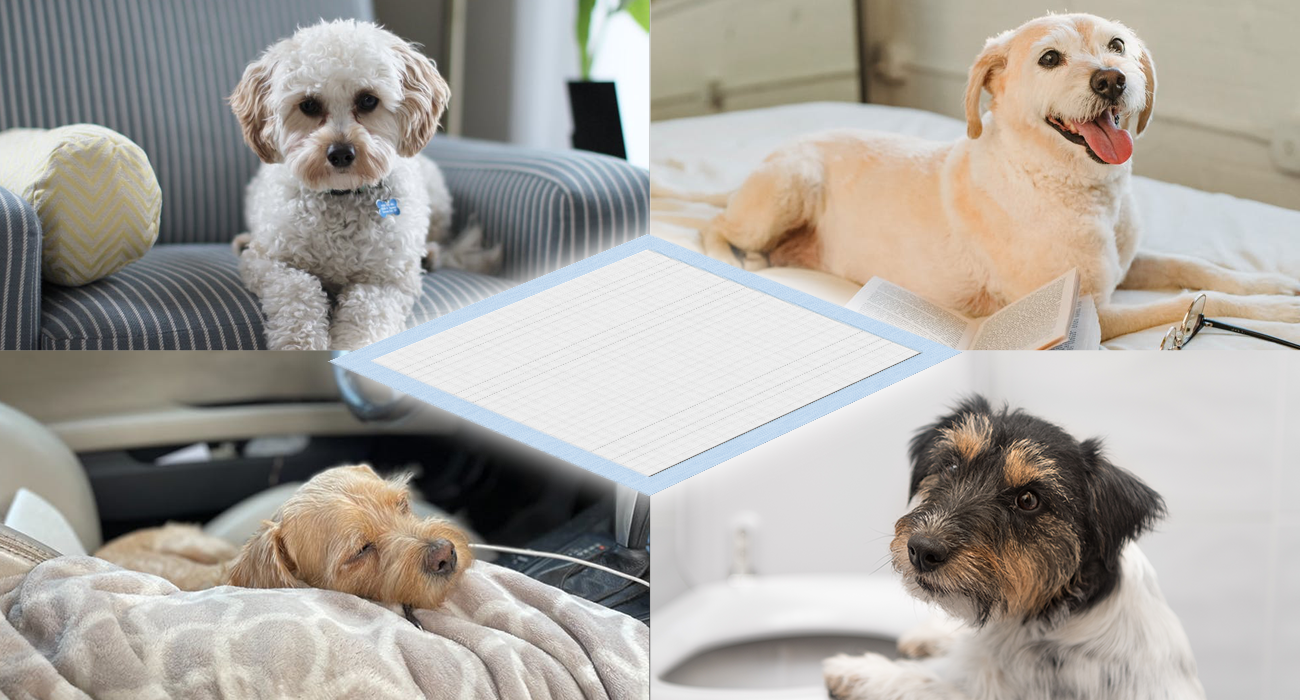 Honey Care Small Training Pads, 17.5"x23.5", 120 Count photo 3