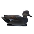 thumbnail image 6 of Avian X Topflight Gadwall Decoys Perfectly Replicated Late Season Gray Ducks, Weight Forward Swim Keel, Realistic Movement, 6 of 12
