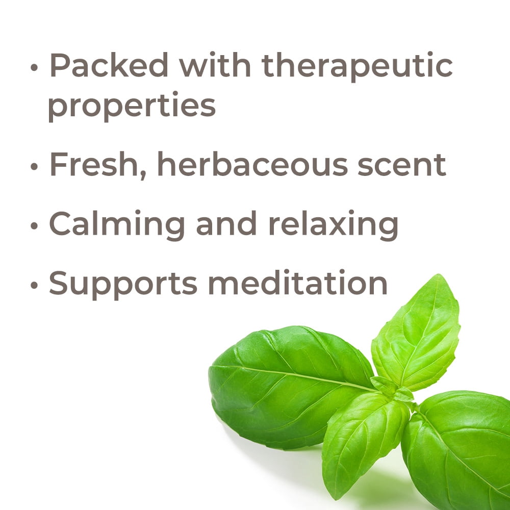 Plant Therapy Basil Linalool Essential Oil 100 mL (3.3 oz) 100% Pure, Undiluted