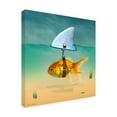 thumbnail image 3 of Trademark Fine Art Mark Ashkenazi Gold Fish Canvas Wall Art - 18x18, 3 of 5