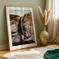 thumbnail image 6 of Ventana Canyon Waterfall - Catalina Foothills Arizona Photography Waterfall Nature Landscape Desert Scenic Wilderness Unframed Wall Art Print 24 x 36 inches, 6 of 60