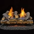 thumbnail image 2 of Duluth Forge Ventless Liquid Propane Gas Log Set - 24 in. Split Red Oak, 33,000 BTU, T-Stat Control - Model# DLS-L24T-1, 2 of 9